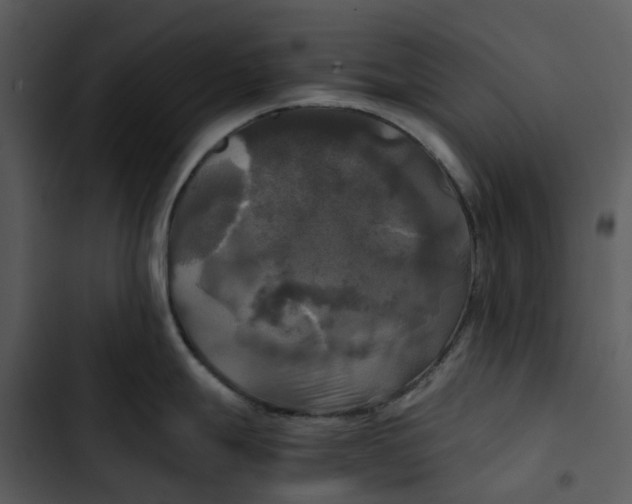 X0000102841247200809081212