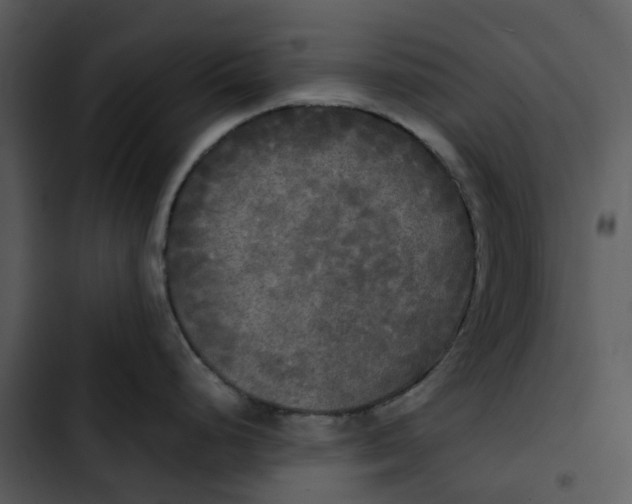 X0000102841248200809081212