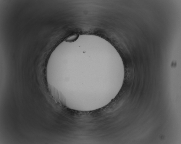 X0000102841249200809081211