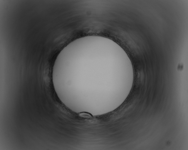 X0000102841250200809081211