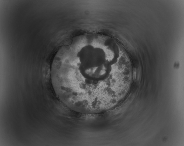 X0000102841251200809081211