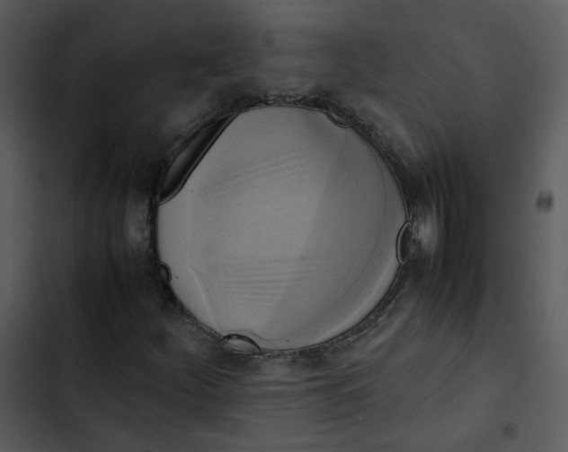 X0000102841252200809081211