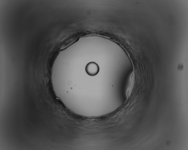 X0000102841253200809081211