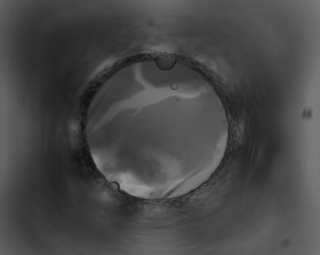 X0000102841254200809081211