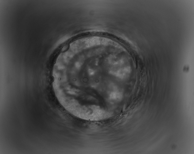 X0000102841255200809081211