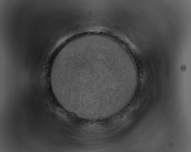 X0000102841256200809081211