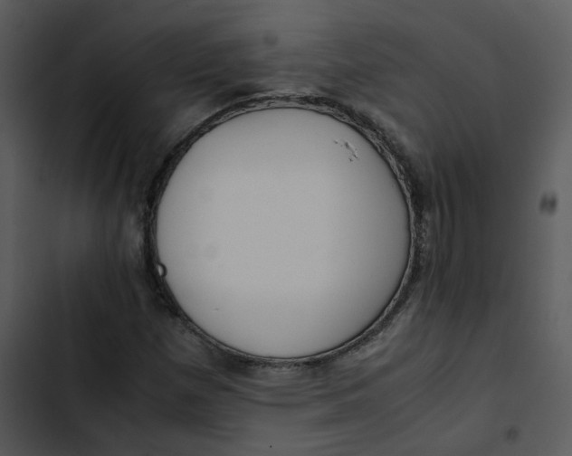 X0000102841257200809081211