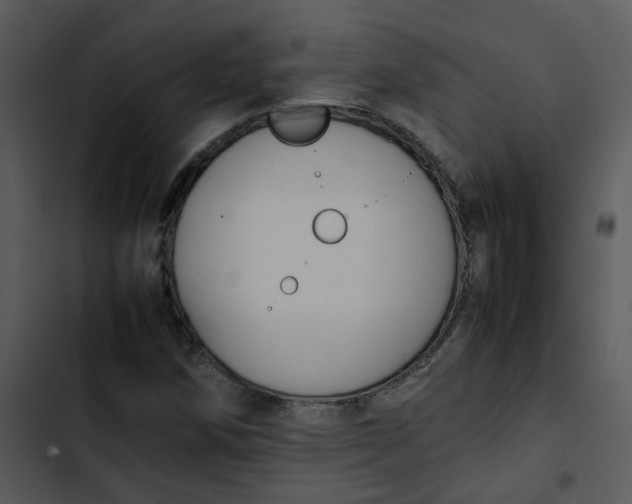 X0000102841258200809081211