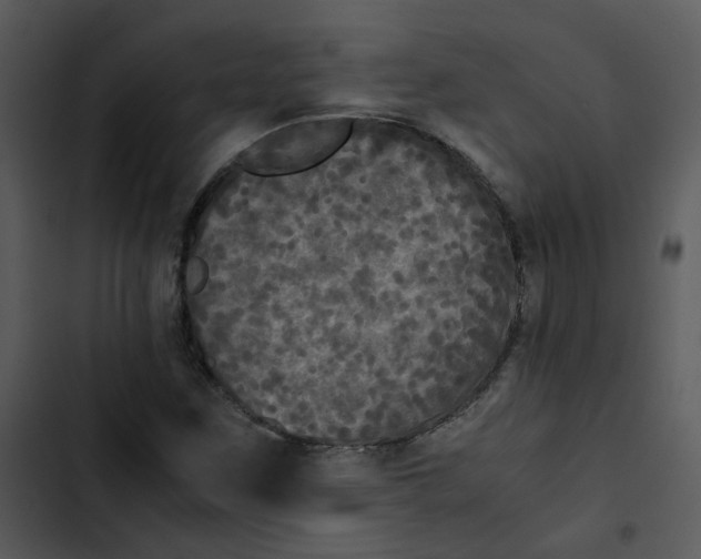 X0000102841259200809081211