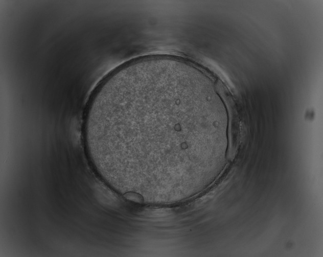 X0000102841260200809081211