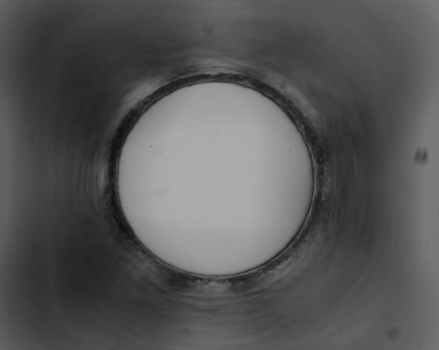 X0000102841261200809081211