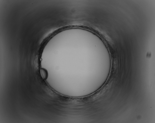 X0000102841262200809081211