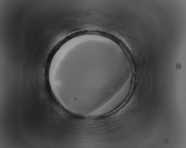 X0000102841263200809081211