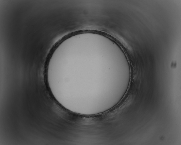 X0000102841264200809081211