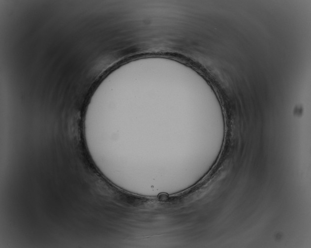 X0000102841265200809081211