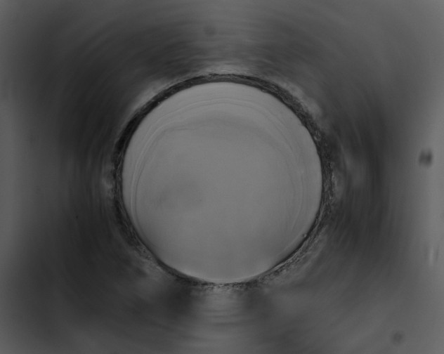 X0000102841266200809081211