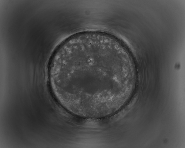 X0000102841267200809081211