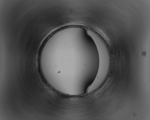 X0000102841268200809081211