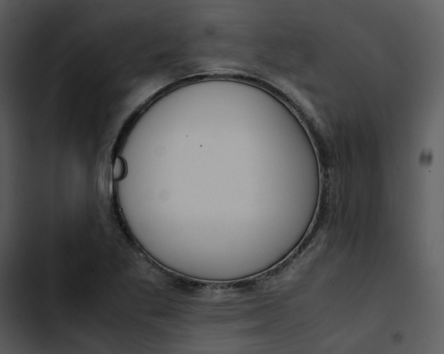 X0000102841269200809081211