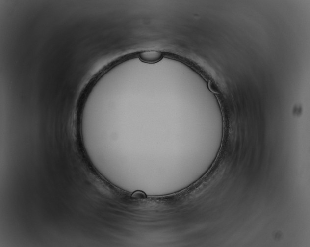 X0000102841270200809081211