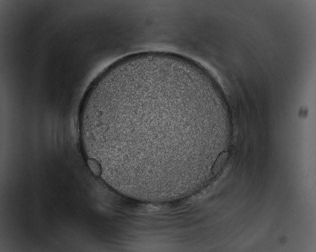 X0000102841271200809081211