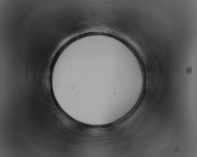 X0000102841272200809081211