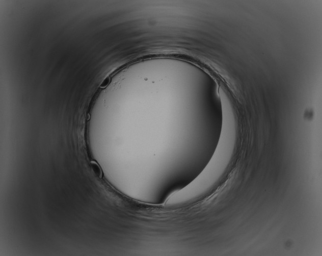 X0000102841273200809081211