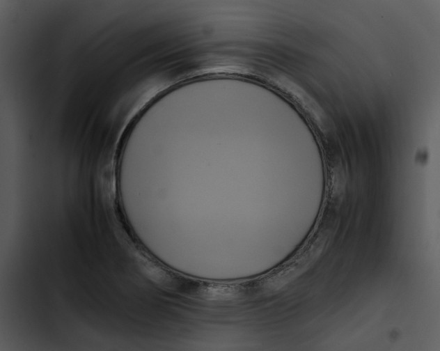 X0000102841274200809081211