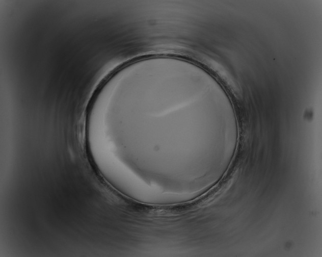 X0000102841275200809081211