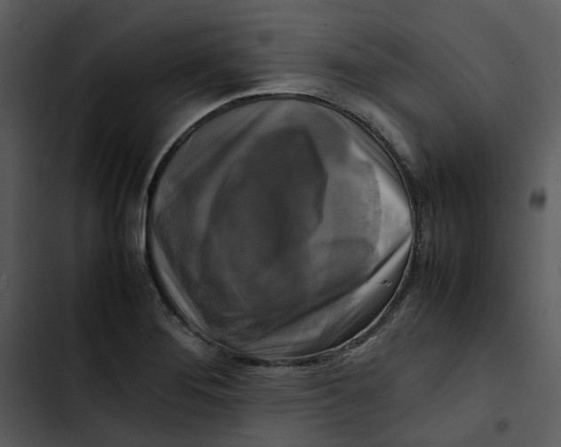 X0000102841276200809081211