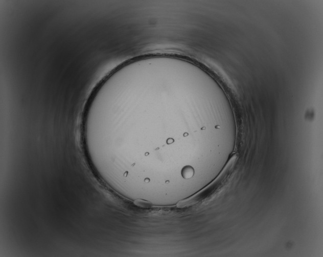 X0000102841277200809081211