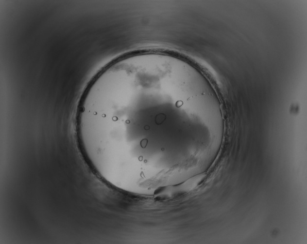 X0000102841279200809081211