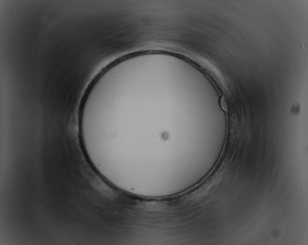 X0000102841280200809081211