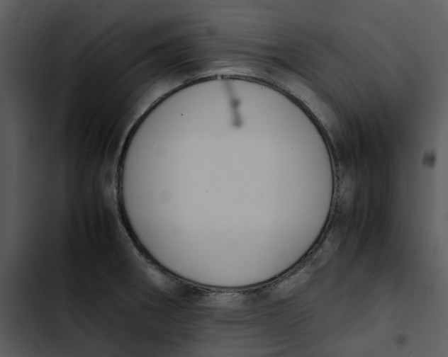 X0000102841282200809081211