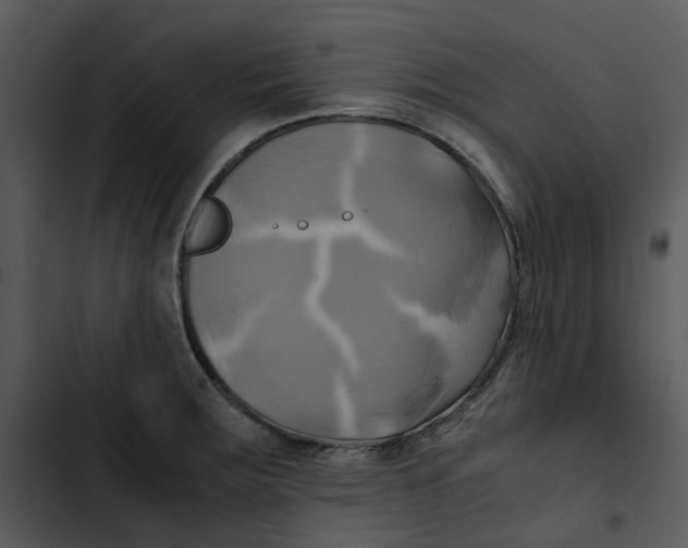 X0000102841283200809081211