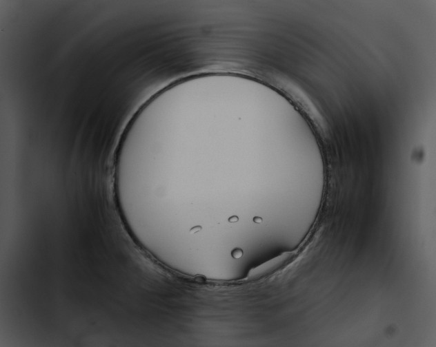 X0000102841284200809081211