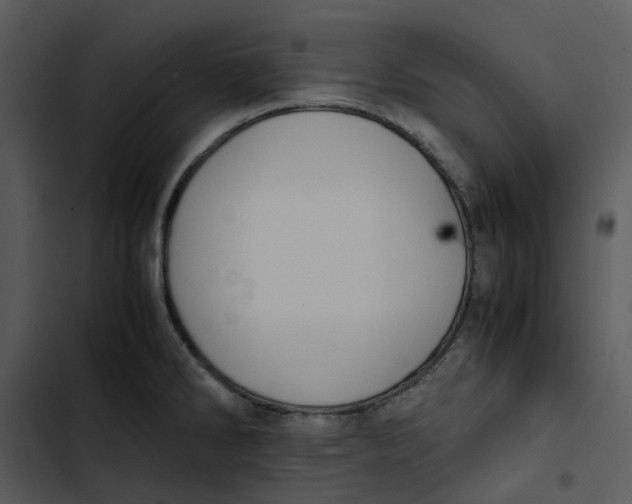 X0000102841286200809081211