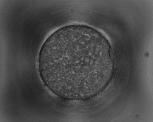 X0000102841287200809081211