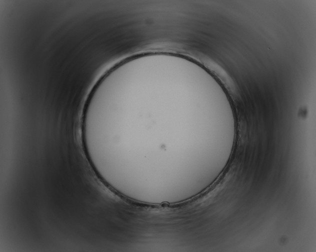 X0000102841288200809081211