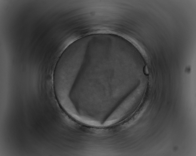 X0000102841289200809081211