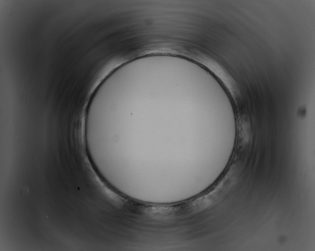 X0000102841290200809081211