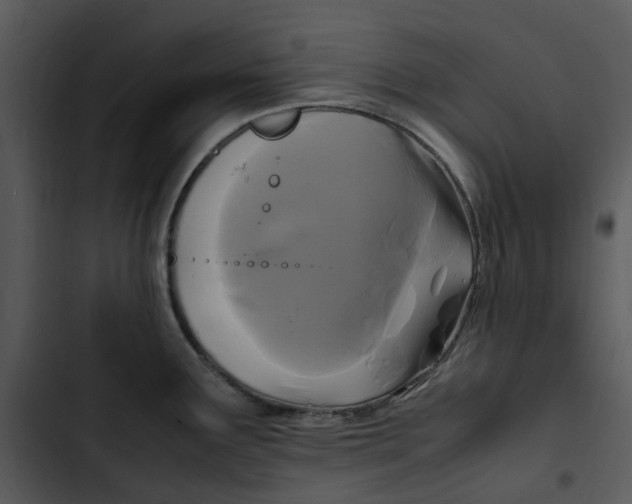 X0000102841291200809081211