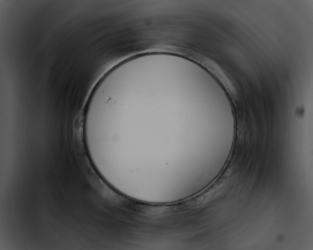 X0000102841292200809081211