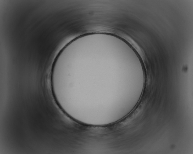 X0000102841293200809081210