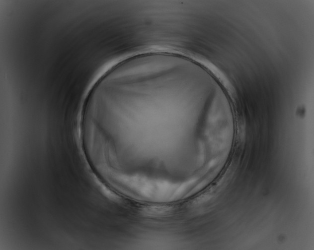 X0000102841294200809081210