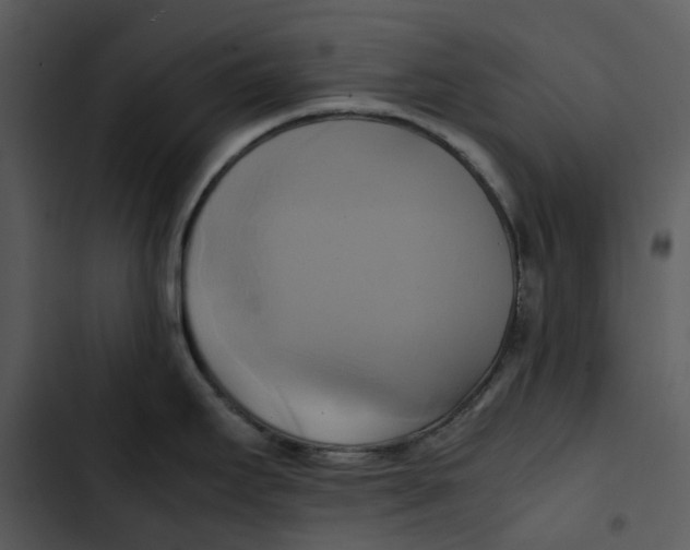 X0000102841295200809081210