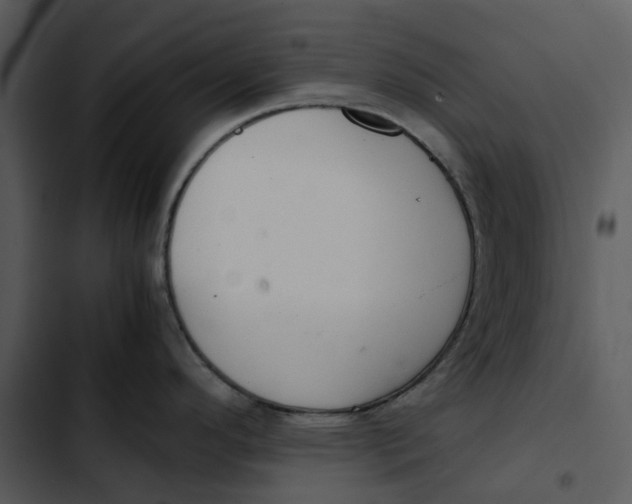 X0000102841296200809081210