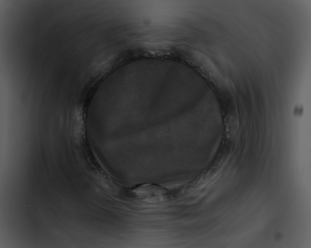 X0000102841298200809081210