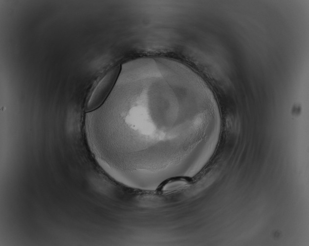 X0000102841300200809081210