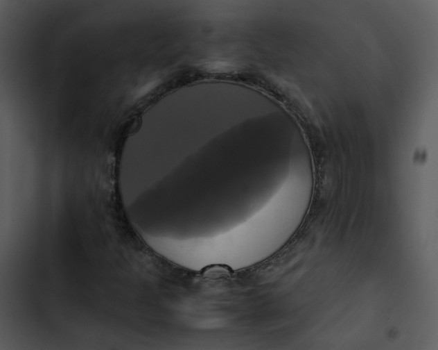 X0000102841301200809081210